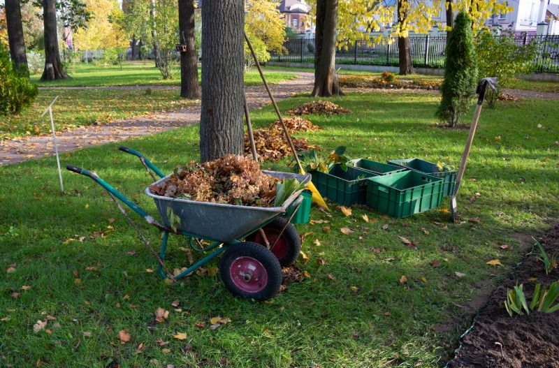 Bushes Clearing in Marietta, GA