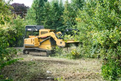 Farm Clearing in Houston, TX