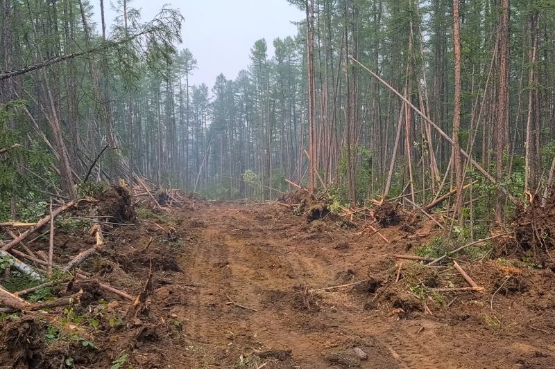 Slope Clearing in Atlanta, GA